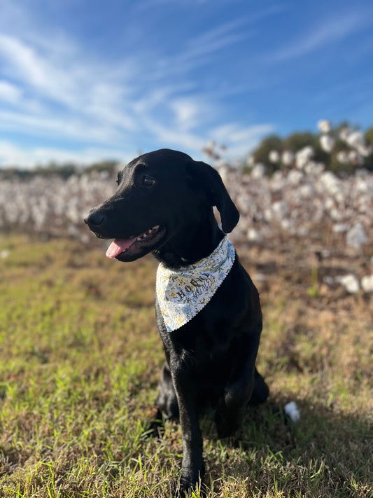 Flowered Dog Bandana